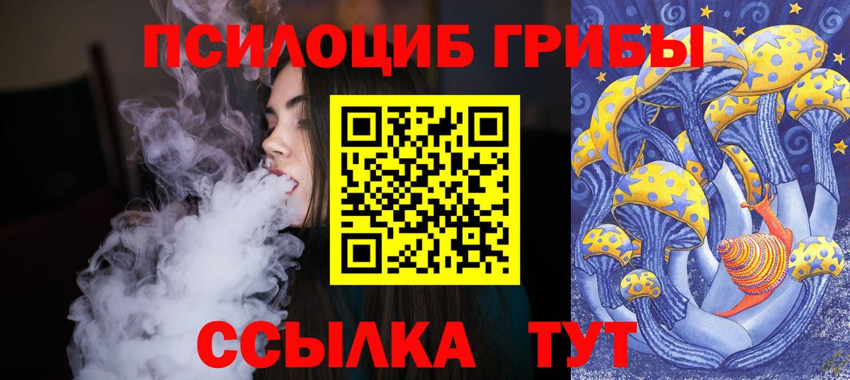 Псилоцибиновые грибы GOLDEN TEACHER  Вход с VPN  Галлюциногенные грибы Psilocybe  купить наркотик  Серов 